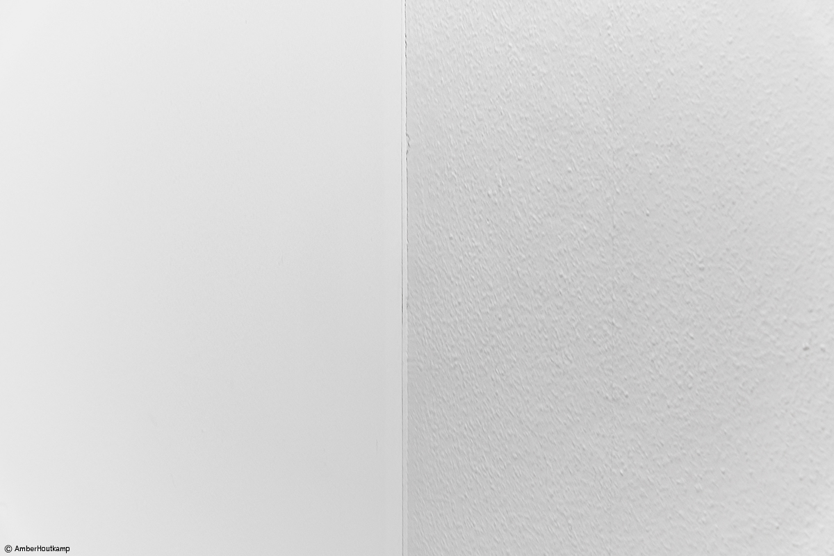 023_02-01_AH8_2812_w