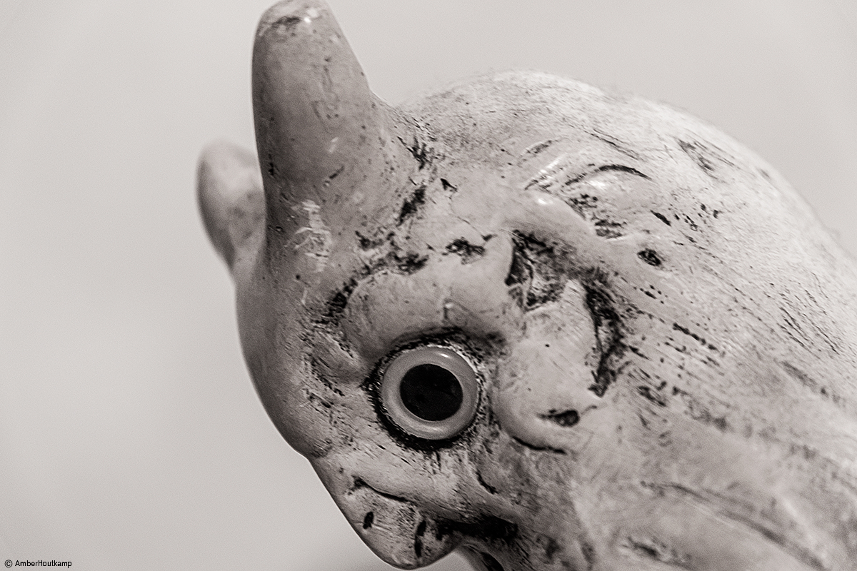 023_07-01_AH8_2859_w