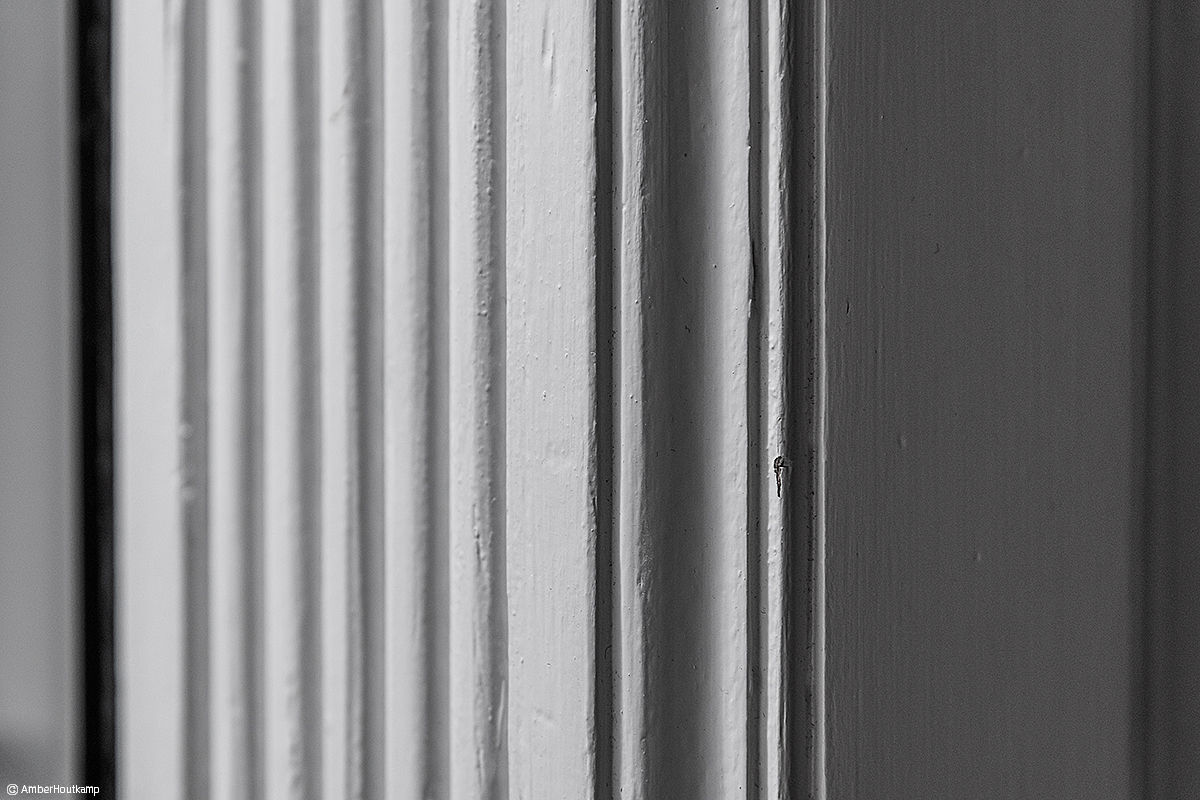 023_08-01_AH8_2875_w