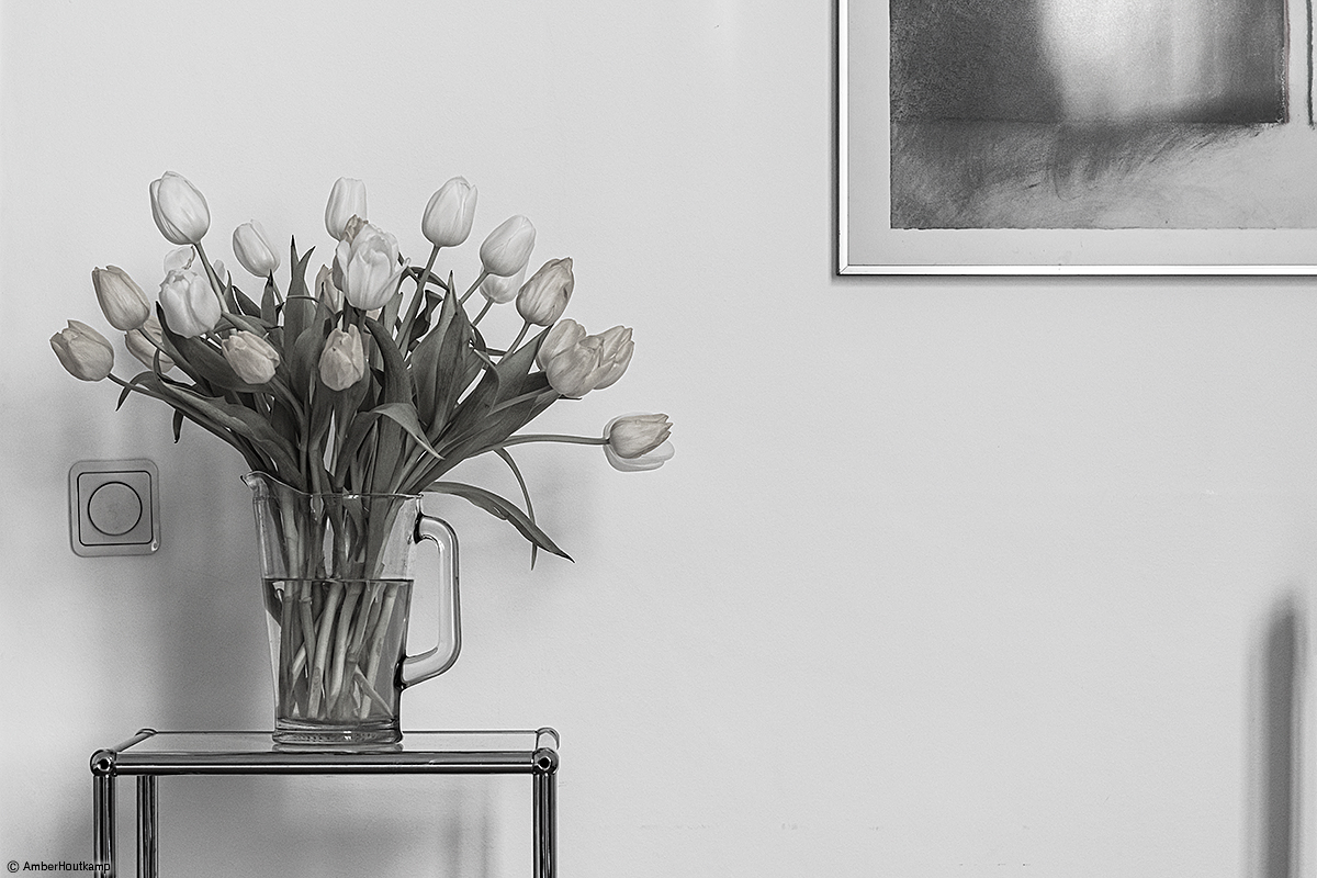 023_19-01_AH8_2935_w