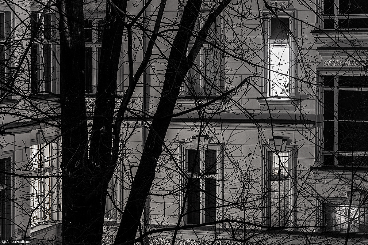 023_01_02_AH8_3025_2_w