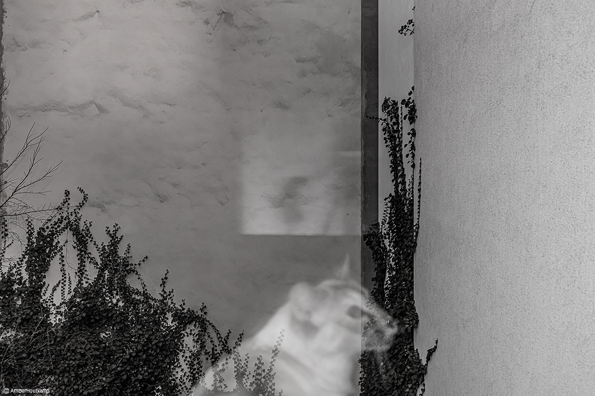 023_03_02_AH8_3030_w