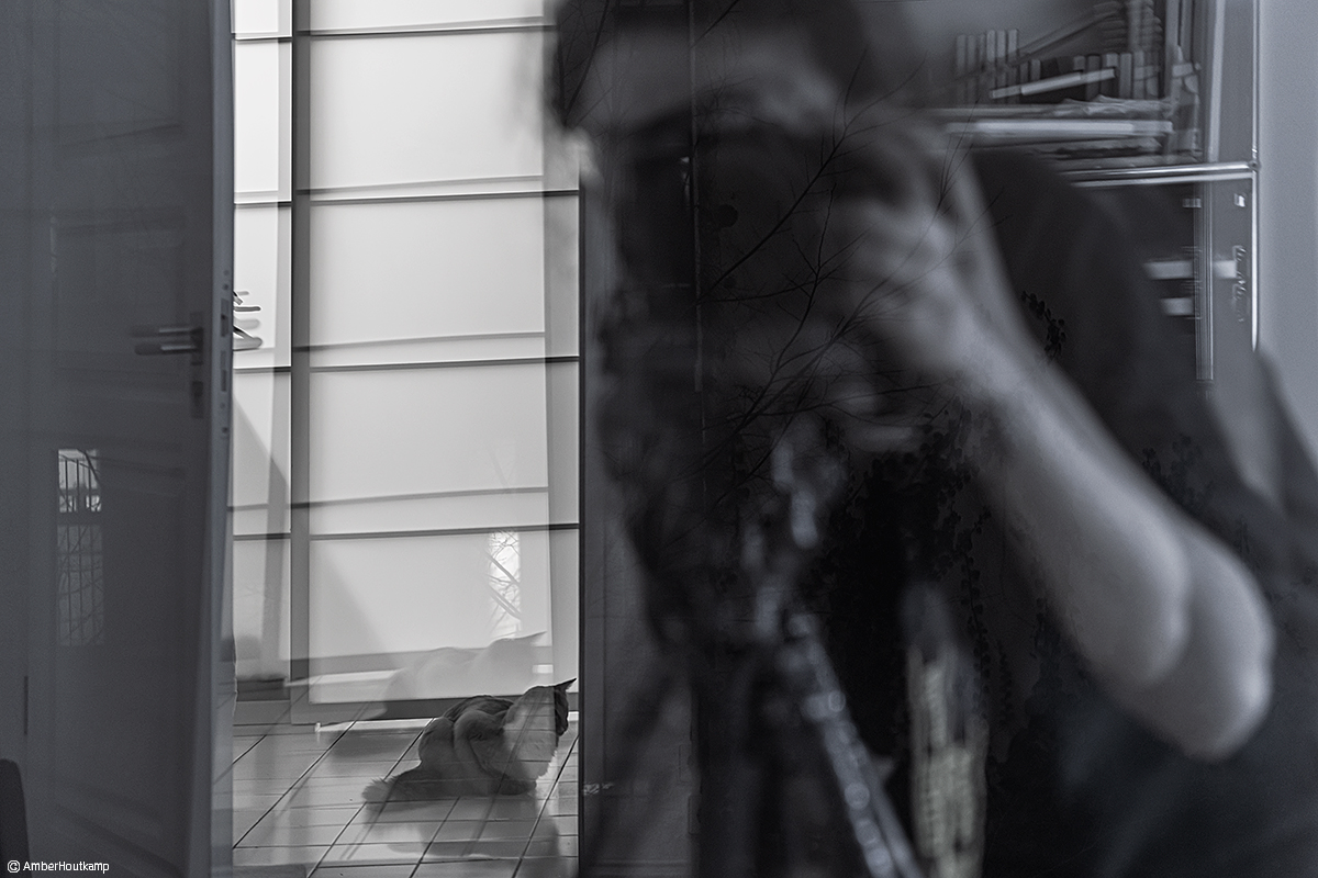 023_05_02_AH8_3044_w