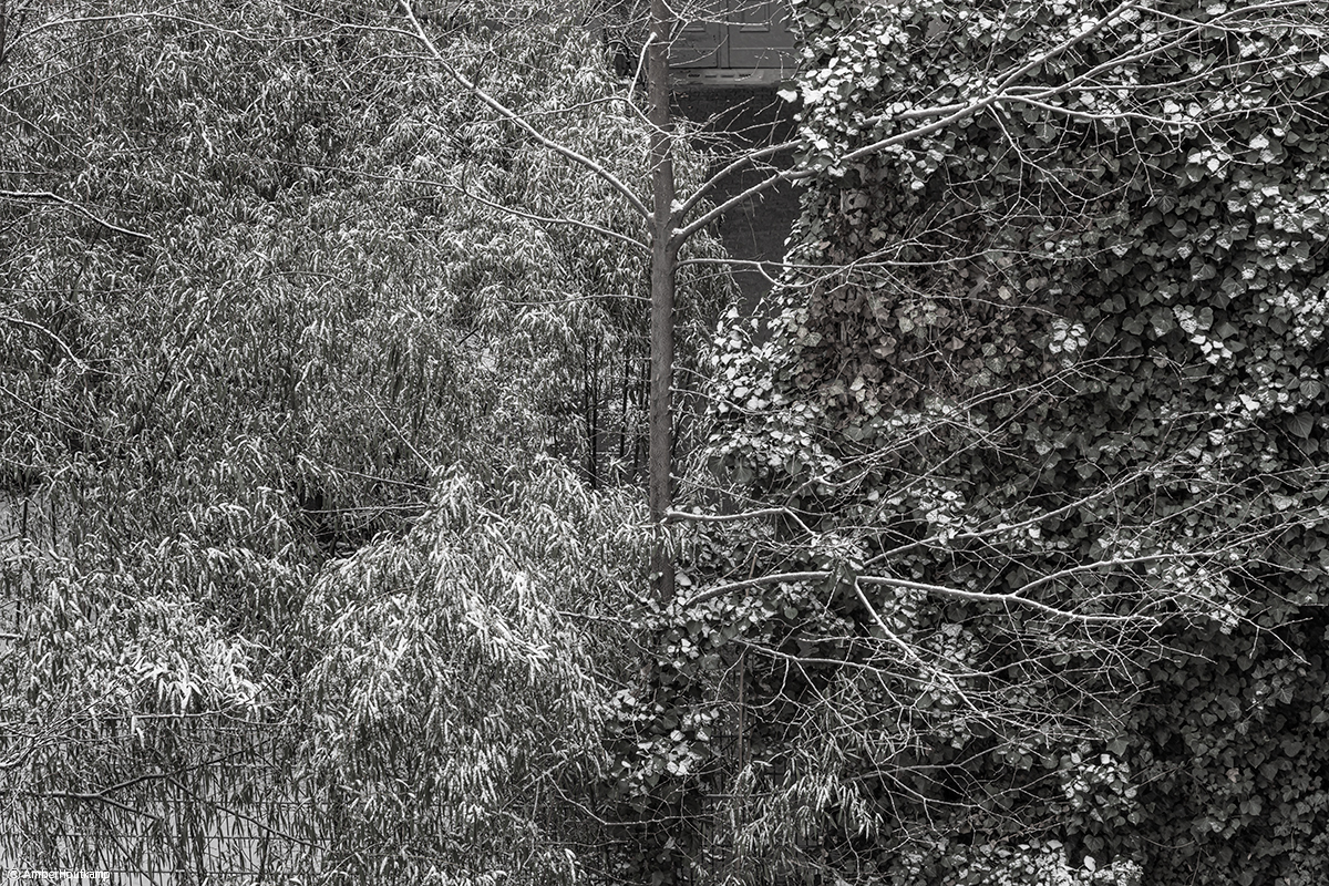 023_06_02_AH8_3047_w