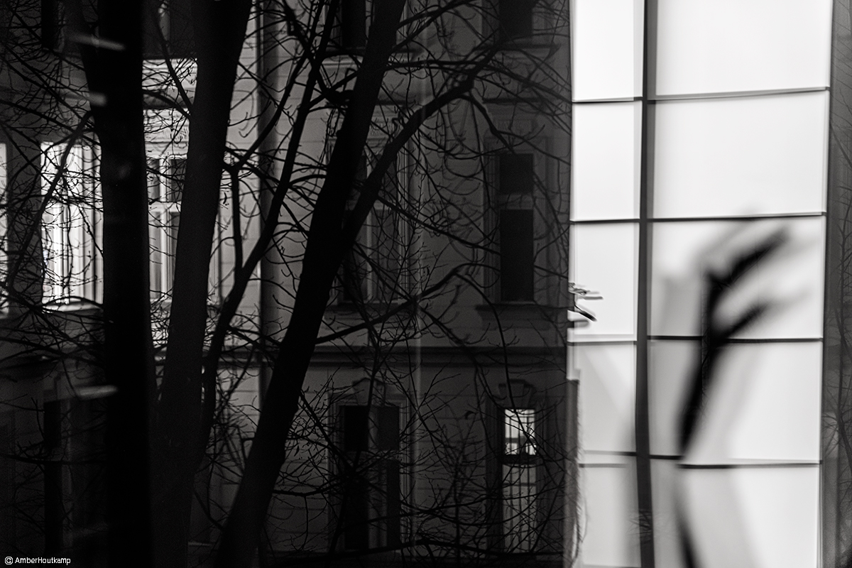 023_18_02_AH8_3124_w