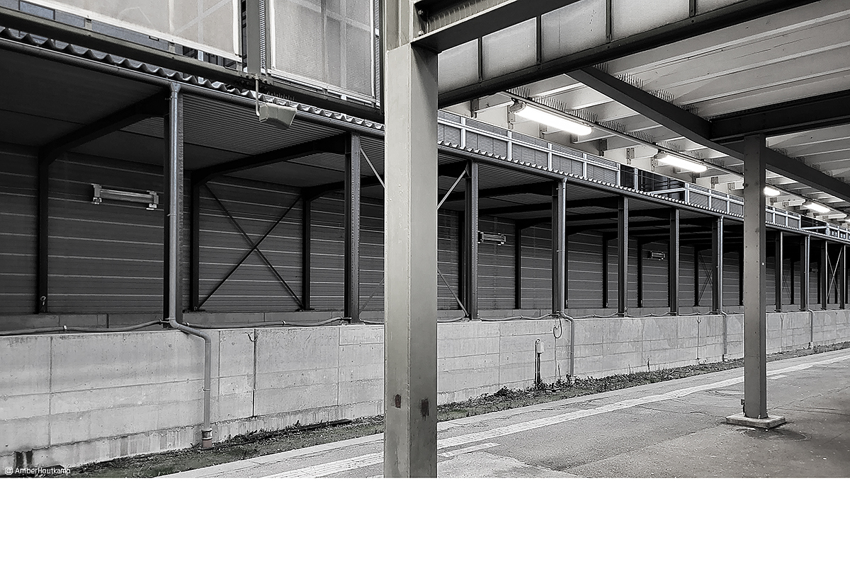 023_19_02_20230219_174444_w