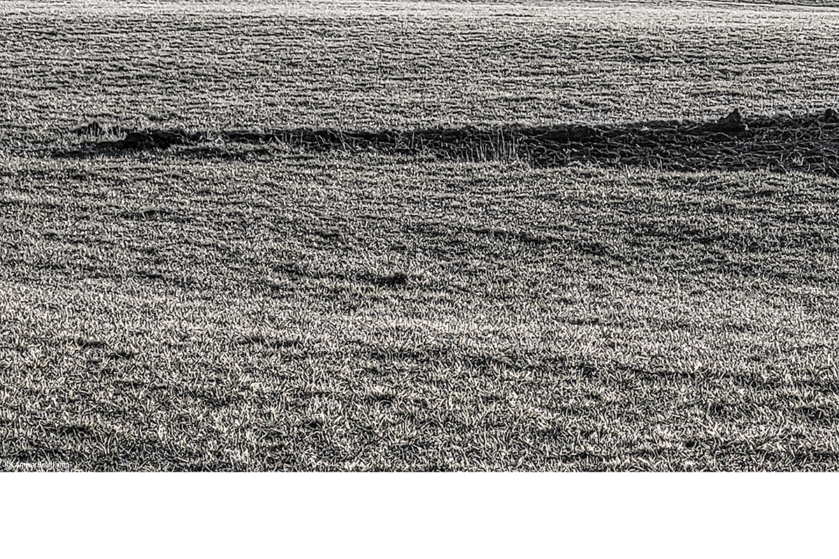 023_20_02_20230220_173316_w