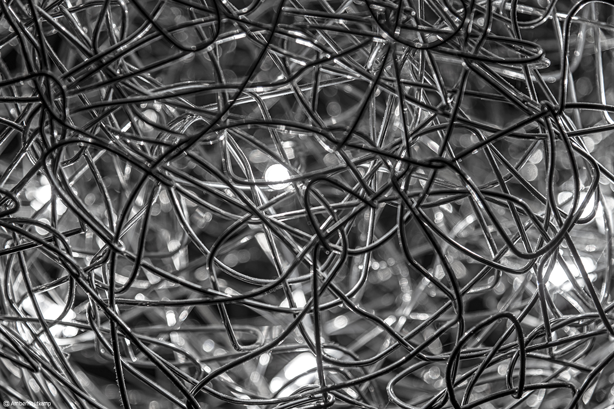 023_24_02_AH8_3125_w