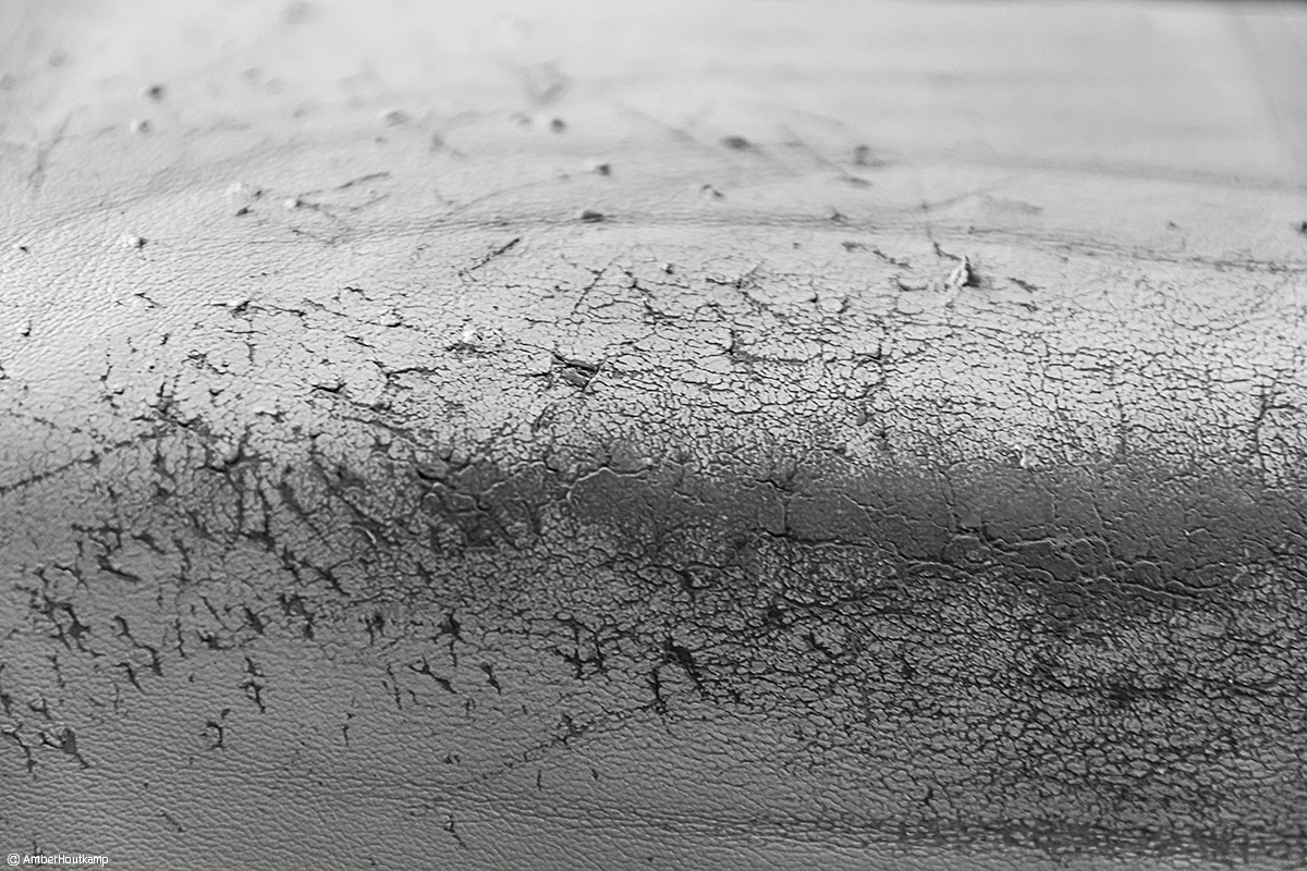 023_27_02_AH8_3149_w