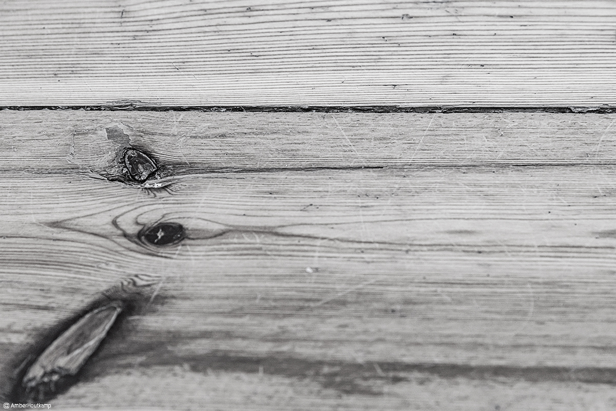 023_04_03_AH8_3186_w