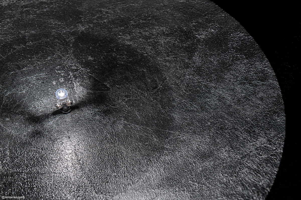 023_08_03_AH8_3297_w