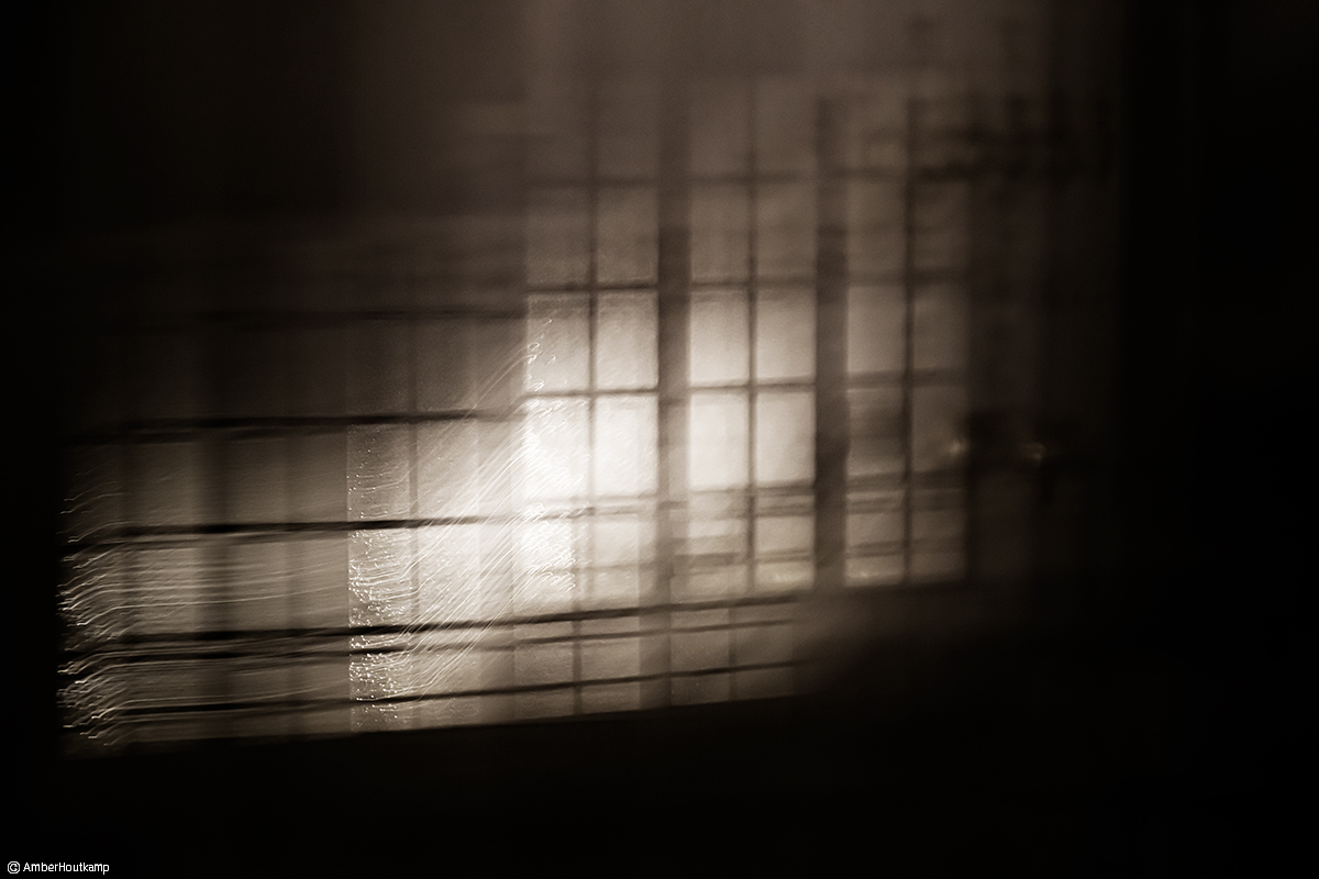 023_16_03_AH8_3379_bw_w