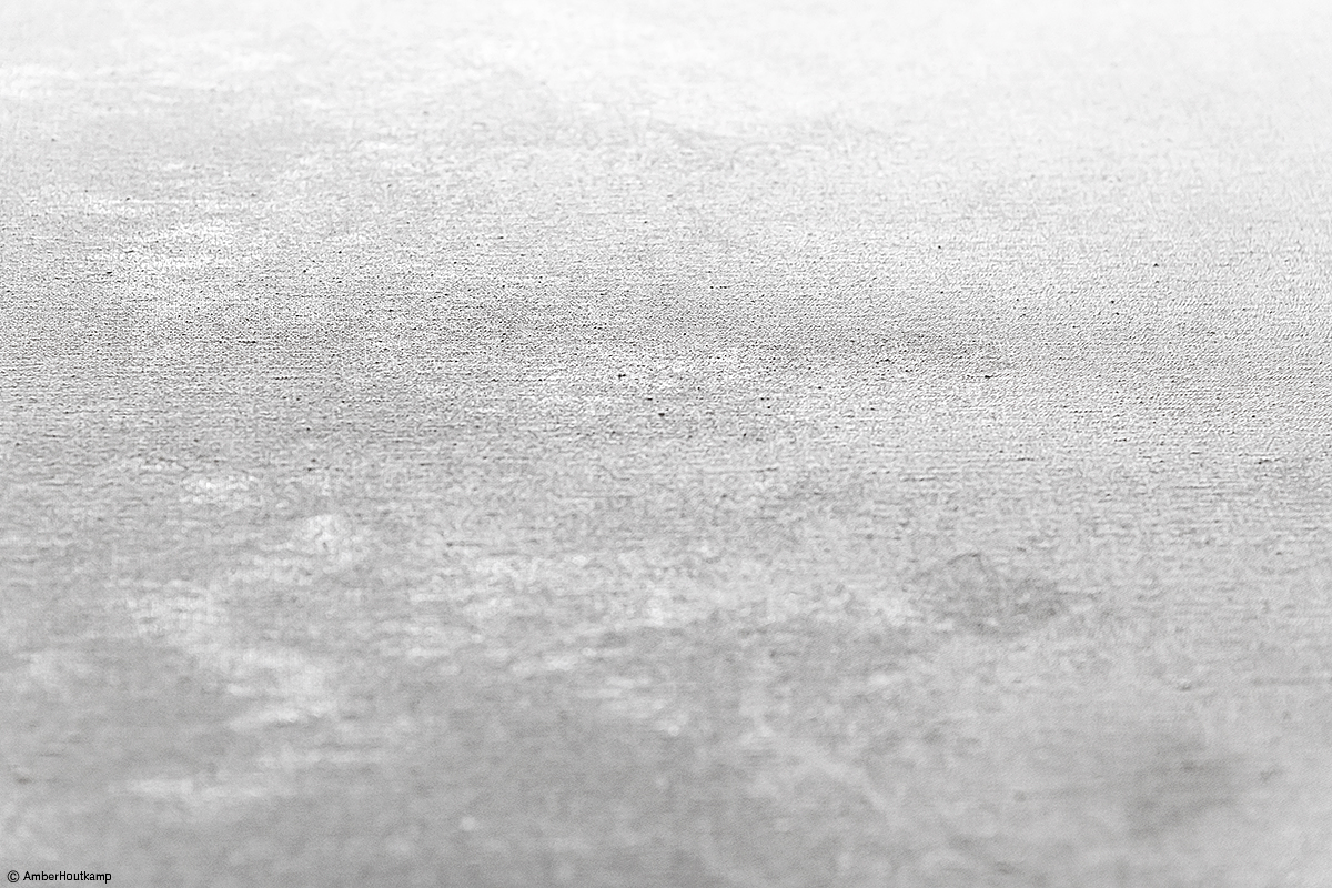 023_21_03_AH8_3598_w