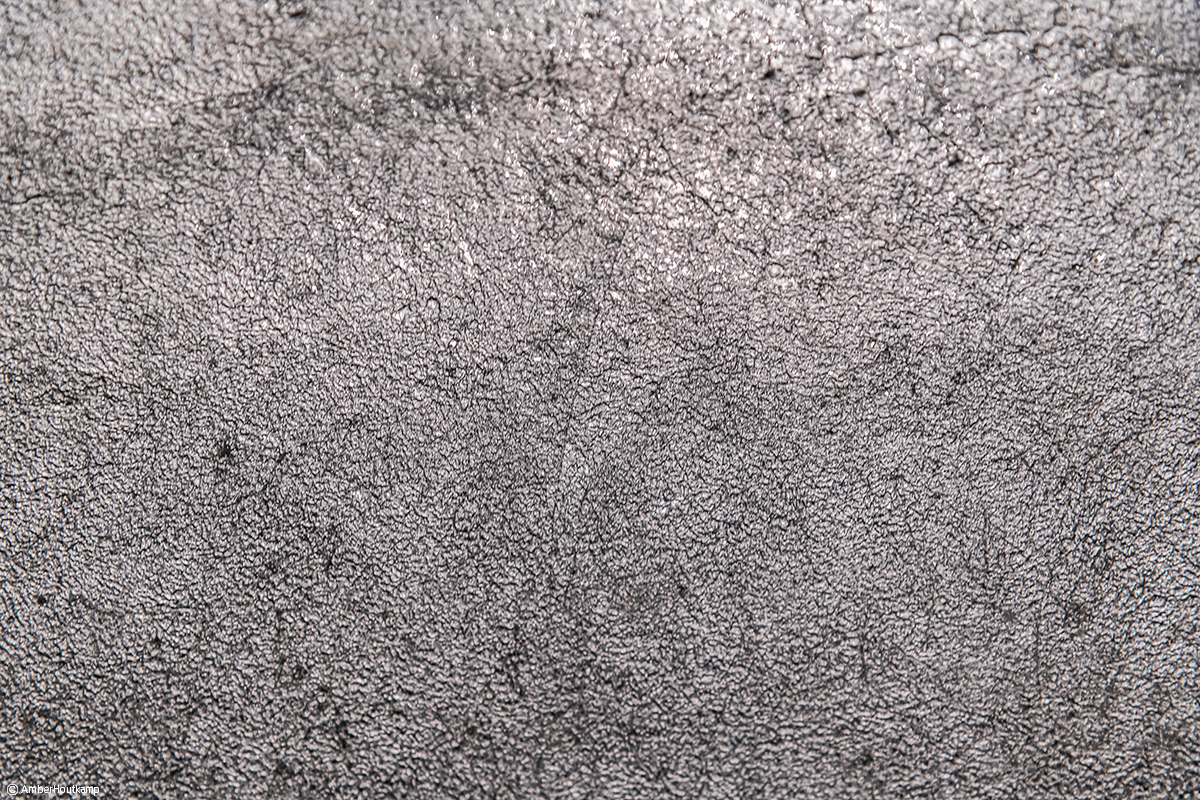 023_24_03_AH8_3306_w