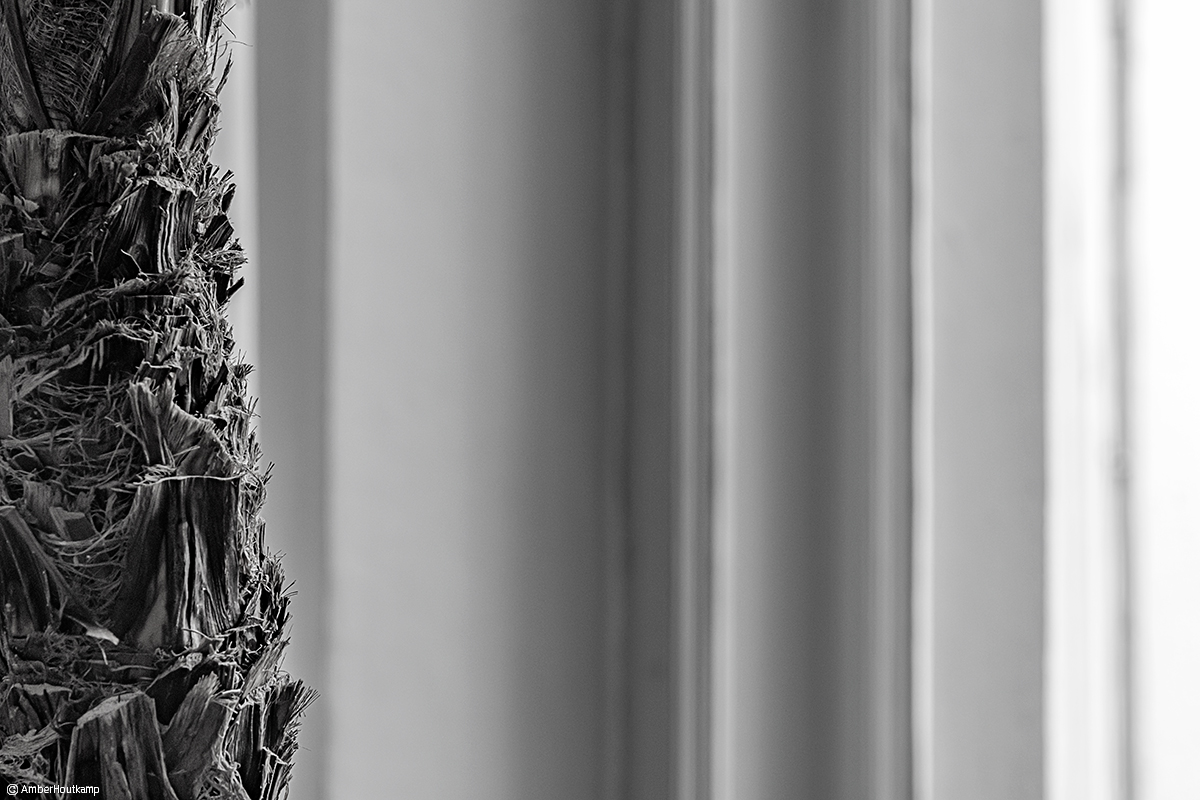 023_26_03_AH8_3630_w