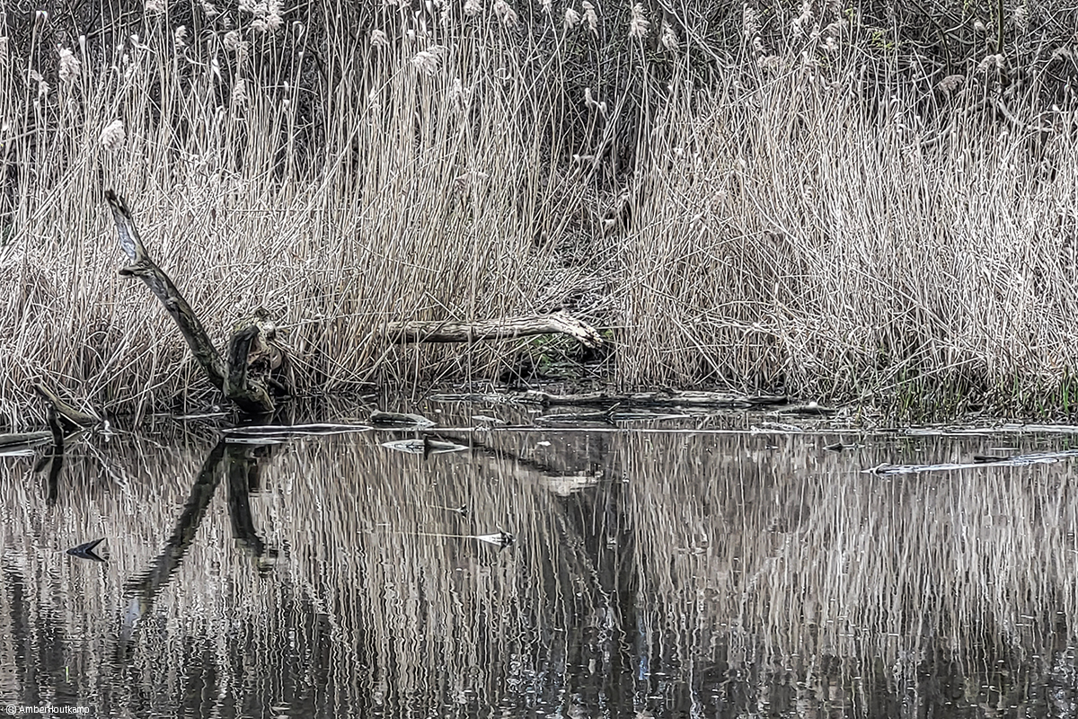 023_28_03_20230328_135140_w