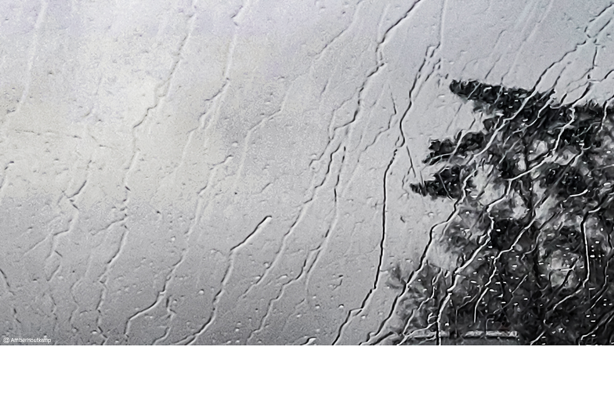 024_08_20230401_192456_w