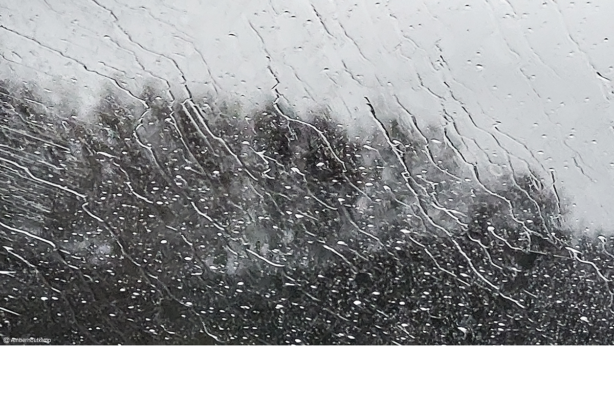 024_09_20230401_192558_w