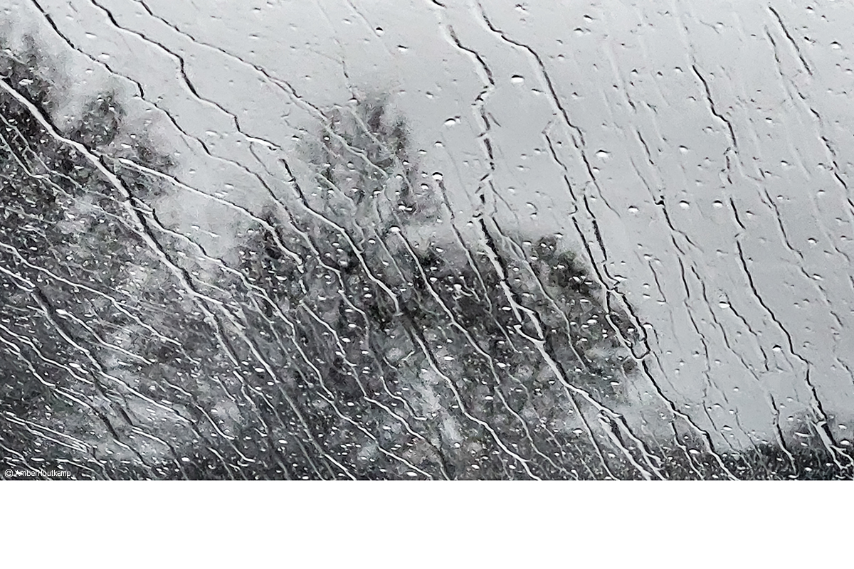 024_10_20230401_192611_w